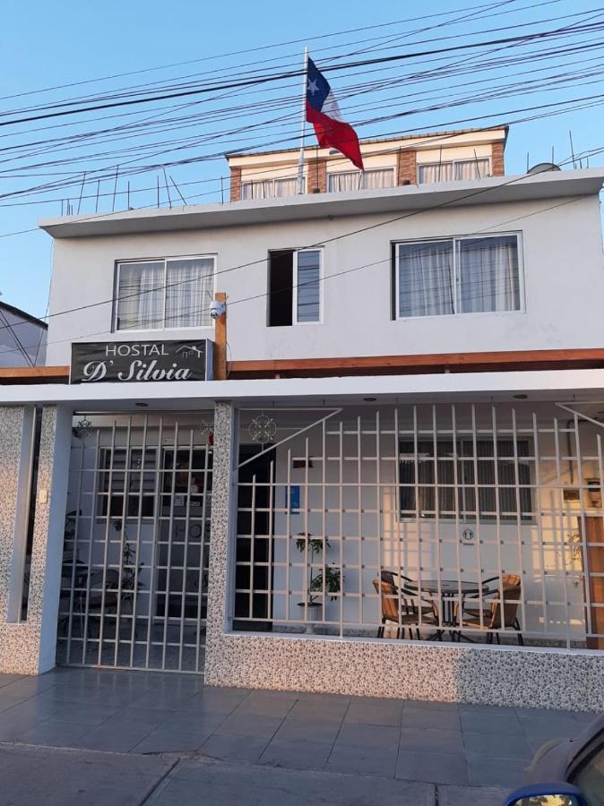 Hostal D' Silvia Arica Bagian luar foto